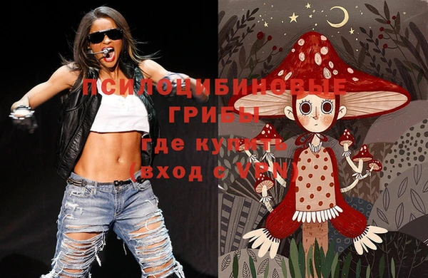 дмт Абаза