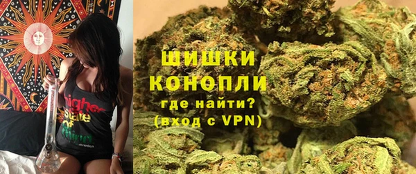 дмт Абаза