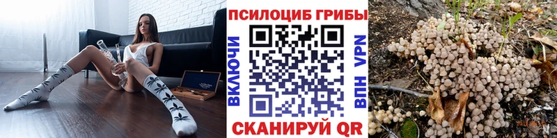 Псилоцибиновые грибы MAGIC MUSHROOMS  Миллерово 