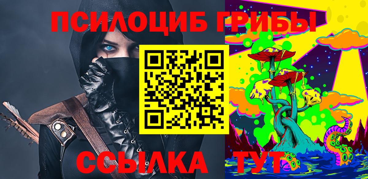 где купить   Галлюциногенные грибы GOLDEN TEACHER  Вход с VPN  Миллерово 