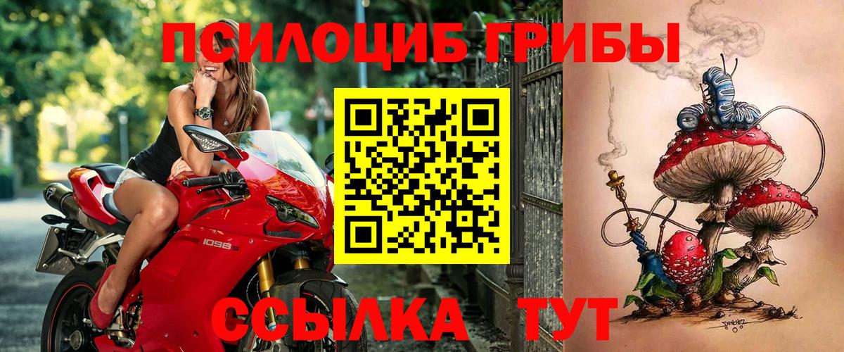Псилоцибиновые грибы Cubensis Миллерово
